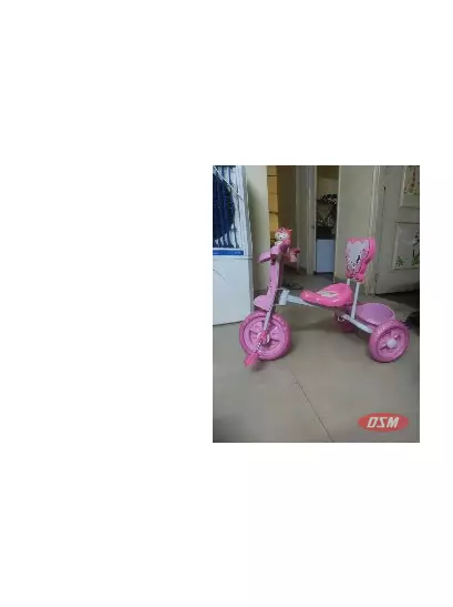 Tricycle For Kids To Enjoy