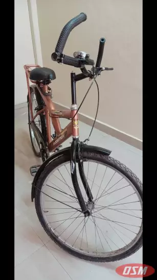 Bicycle Vintage Booster
