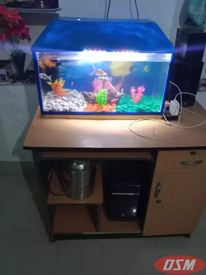 Fish Tank Size 24by12 Ka H One Filter One Led Light Fish Aquarium Ke 9