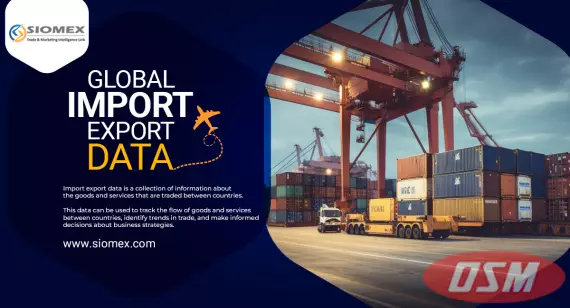 How To Use Import Export Data To Grow Your Business