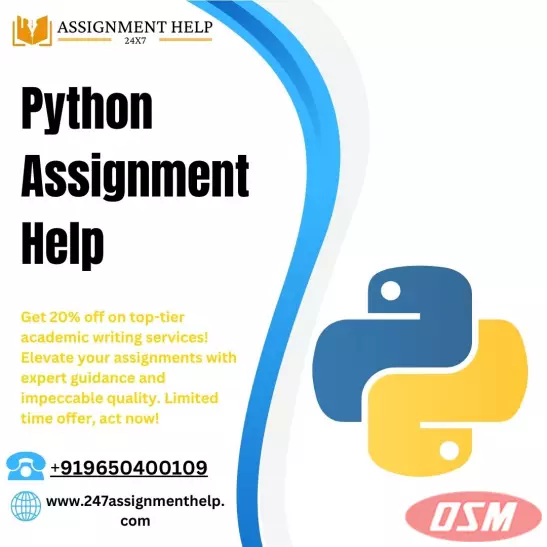 Python  Assignment Help: Your Key To Successful Academics