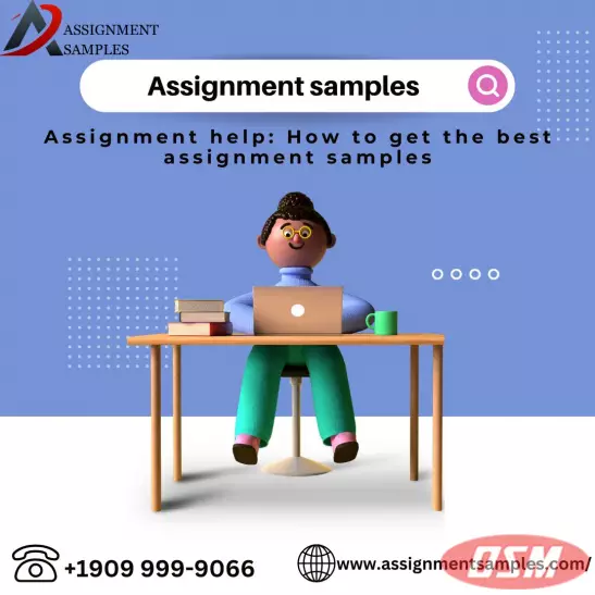 Assignment Help: How To Get The Best Assignment Samples