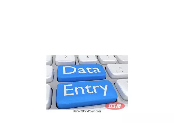 Data Entry Job