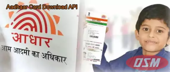 API Seva Offer Aadhaar Download API In India