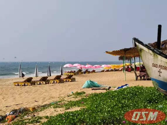 Want To Construct Budget-friendly Homes Buy Land In Goa