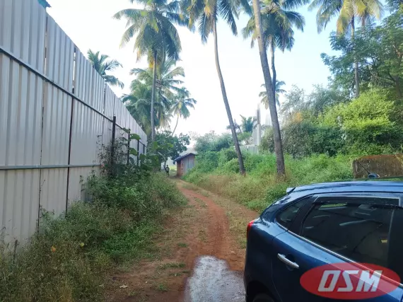 Orchard Land For Sale In Goa