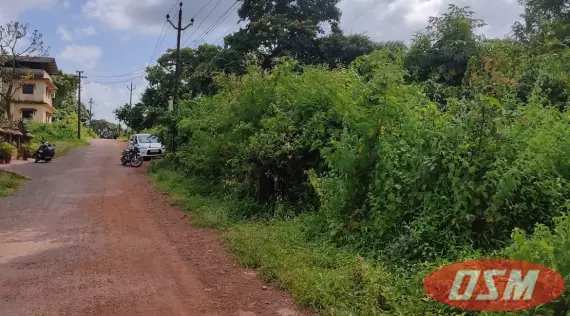 Looking To Invest In Goa’s Growing Market?