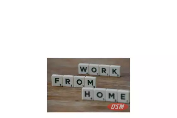Wanted Outsourcing Partner To Outsource Our BPO Projects