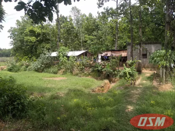 @Rs 3,20,000 Per Bigha , 4 Bigha Commercial Cum Agri Land For Sale