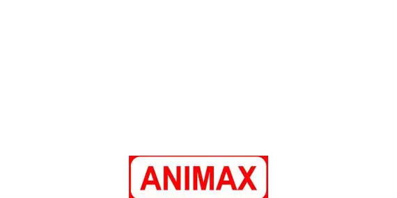 Web Developer Course In Coimbatore - Animax Multimedia