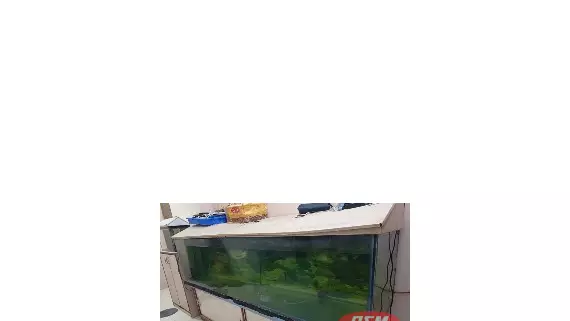 Fish Tank With Cover