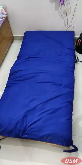 Futon Sofa Cum Bed With Mattress In 3 Colors