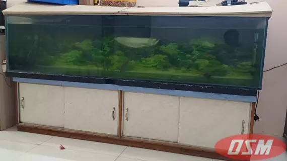 Fish Tank With Cover